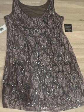 Pisarro Nights Taupe Lace & Sequin Evening Dress